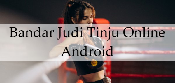 Bandar Judi Tinju Online Android